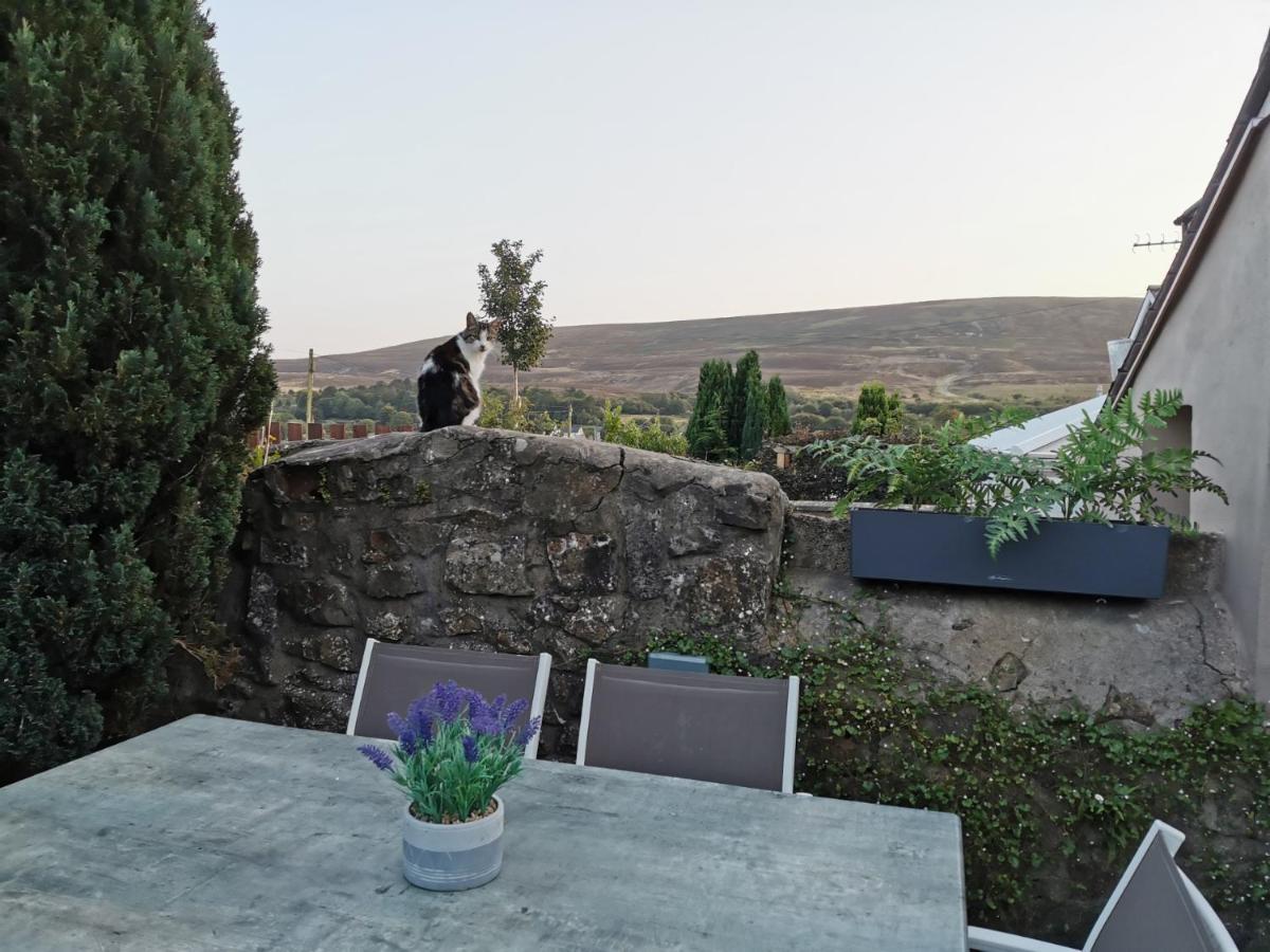 Ex-Miners Cottage, Blaenavon, Near Abergavenny エクステリア 写真
